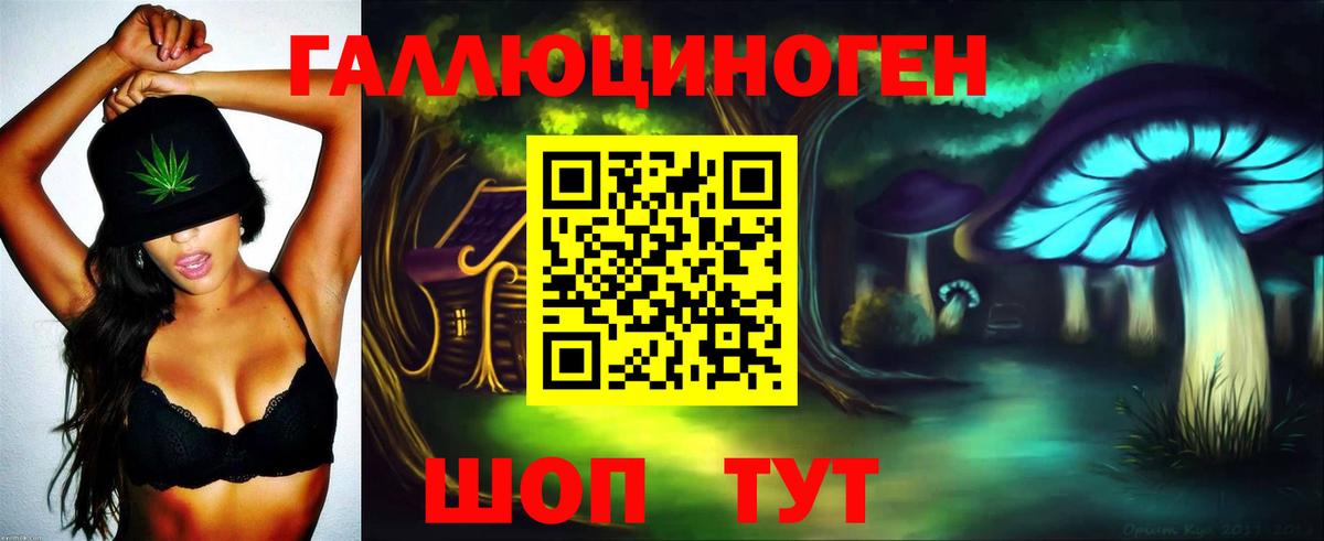 Казань  Галлюциногенные грибы GOLDEN TEACHER  Псилоцибиновые грибы Psilocybe  Вход с VPN 